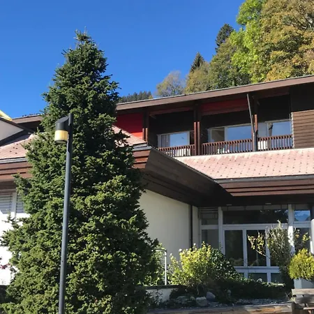Budget Gstaad Hotel Schonried