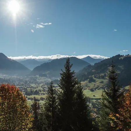 Hotel Budget Gstaad