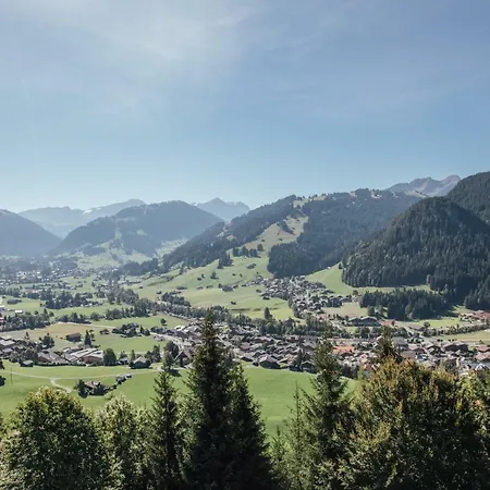 Hotel Budget Gstaad 3*