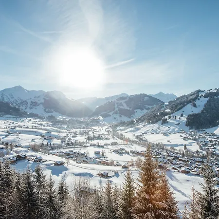 Budget Gstaad ホテル シェーンリート