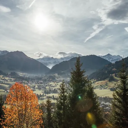 ホテル Budget Gstaad 3*